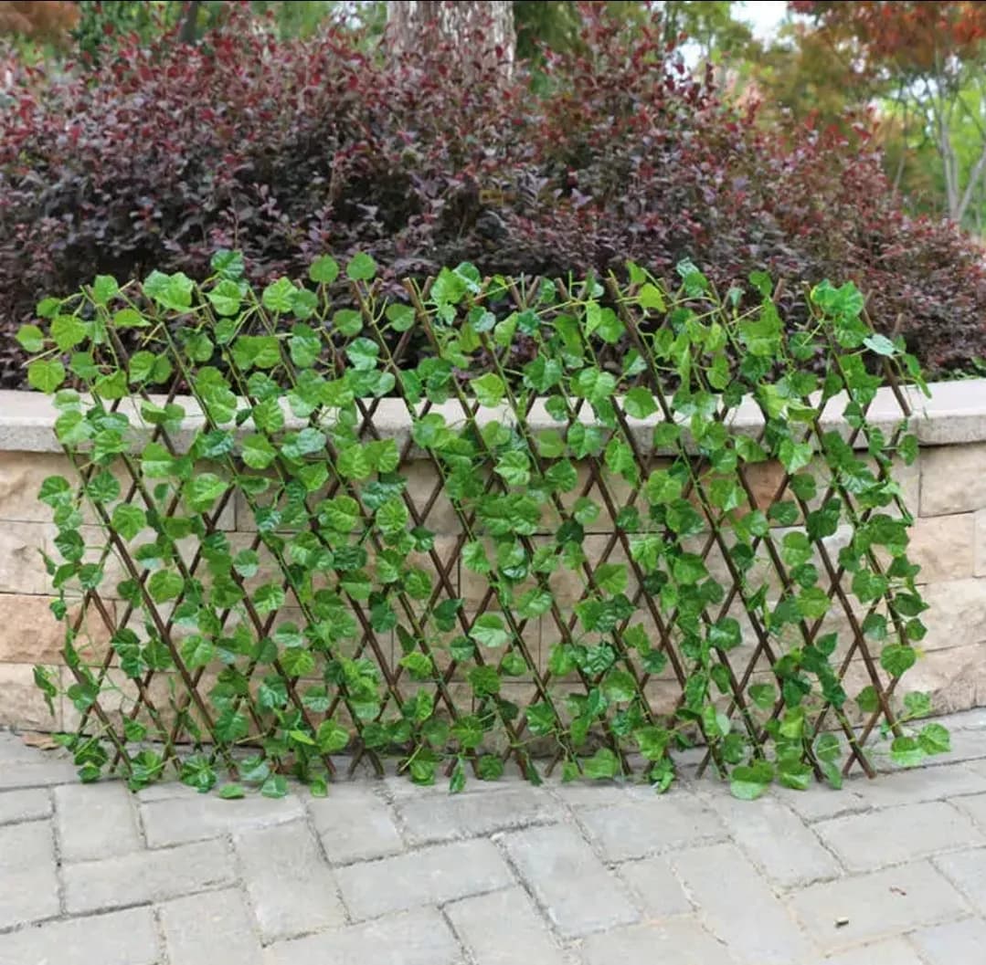 جودة عالية وعمر طويل